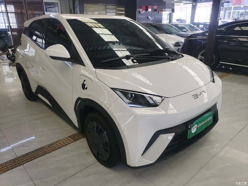 BYD Seagull, 2025 22