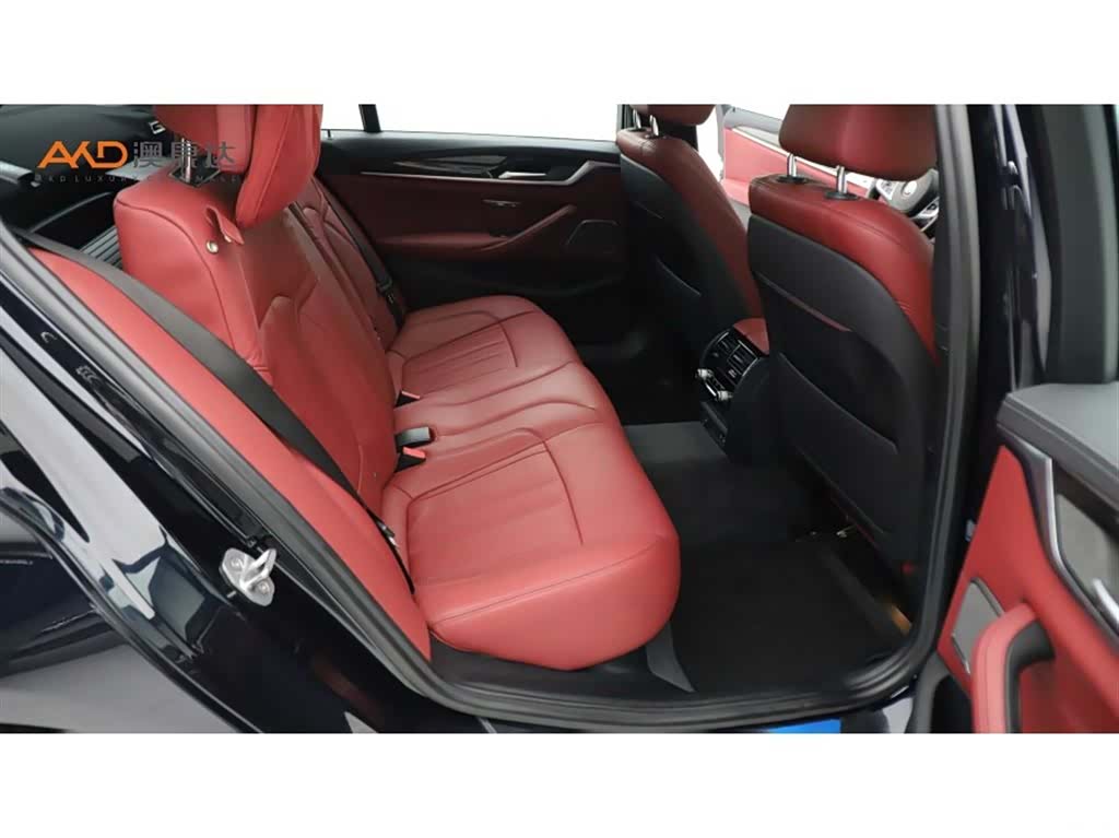 BMW 5 Series, 2020 8