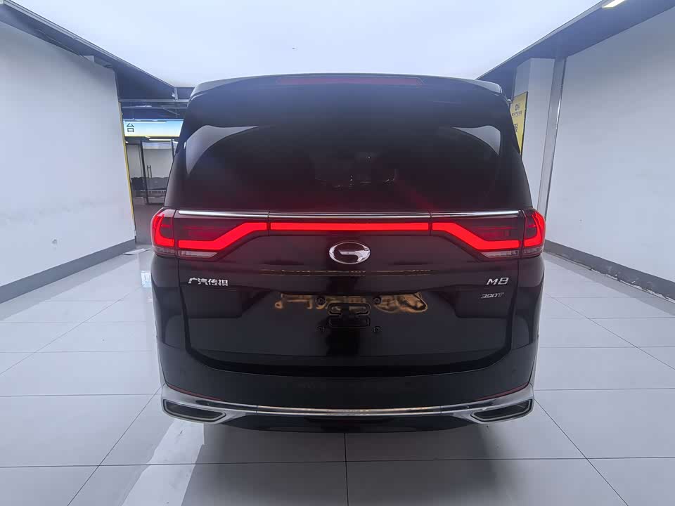 Trumpchi Trumpchi M8