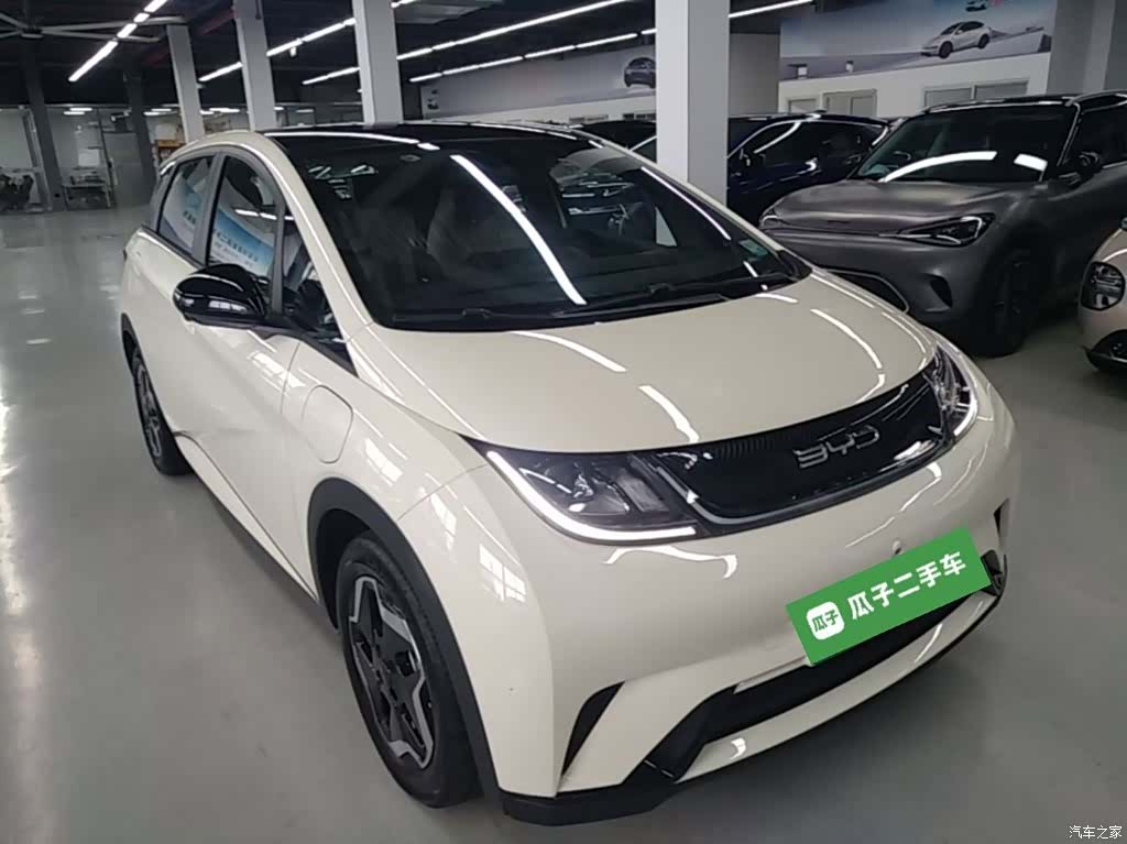 BYD Dolphin, 2022 4