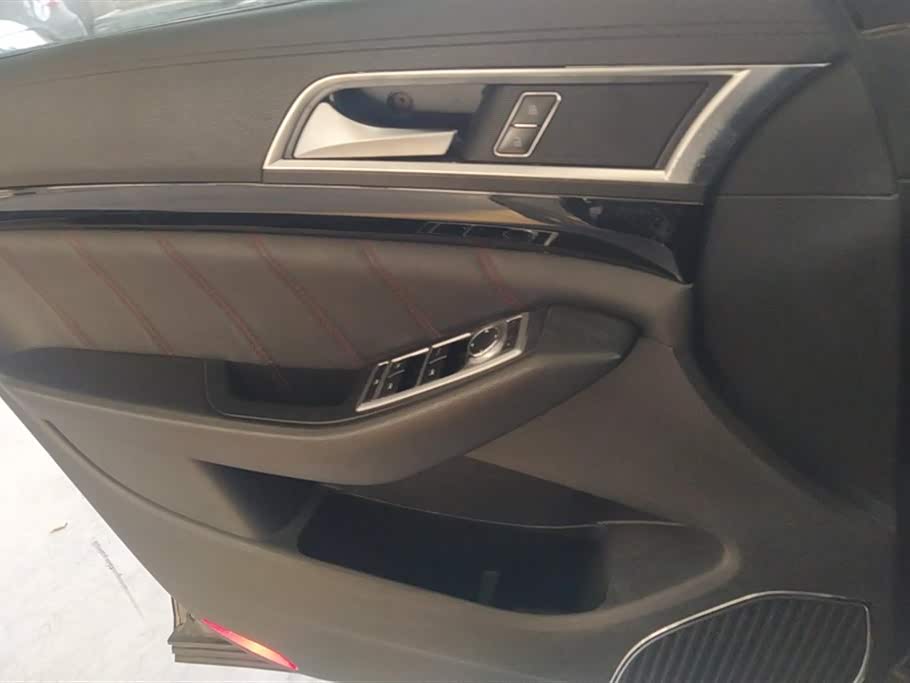 Leopaard Cheetah CS10