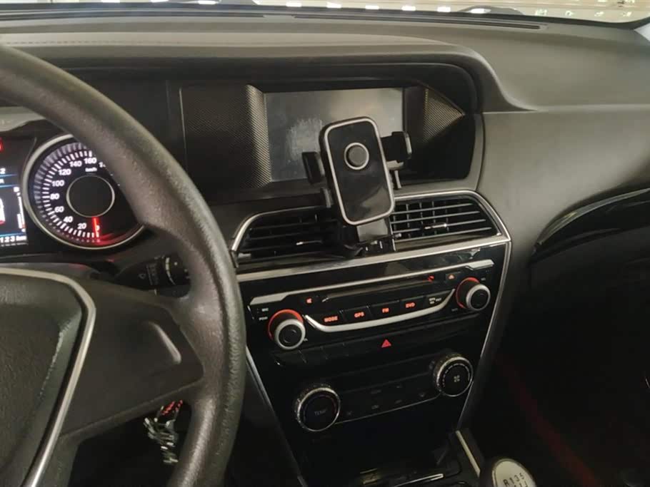 Leopaard Cheetah CS10