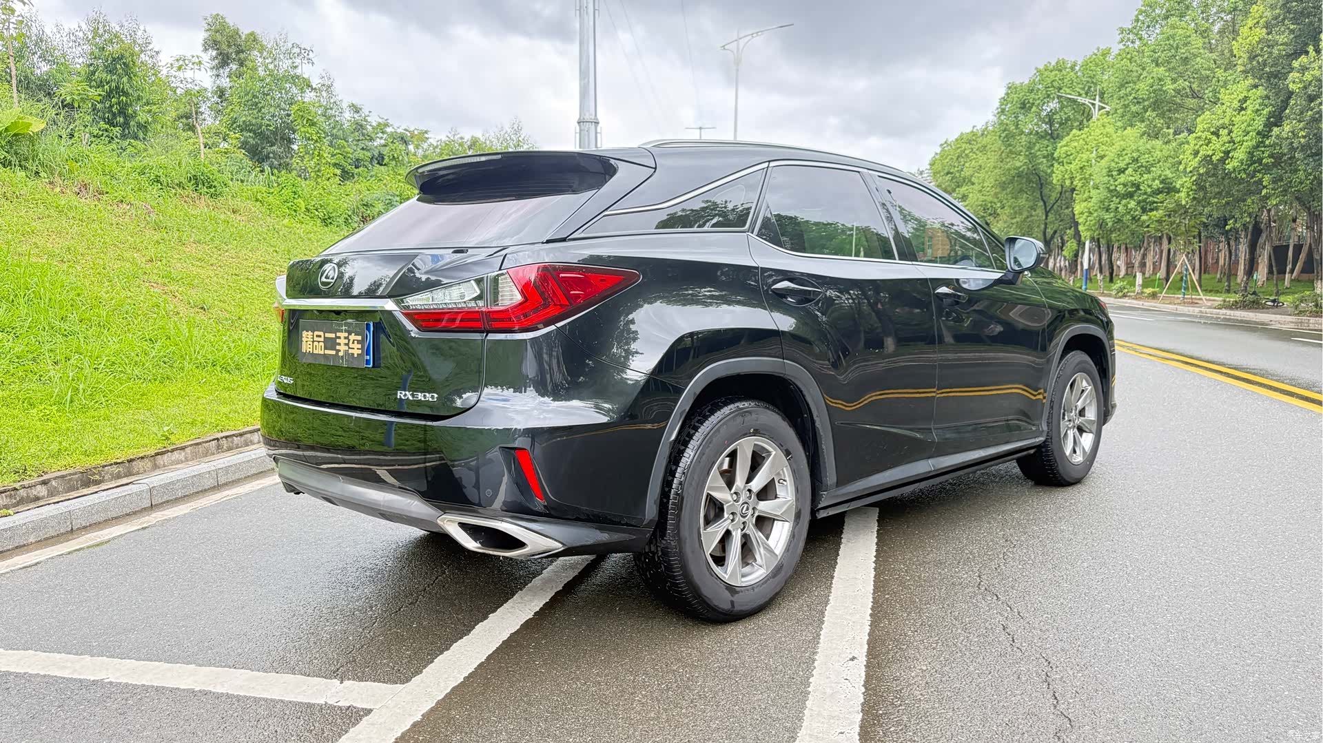 Lexus RX, 2019 6