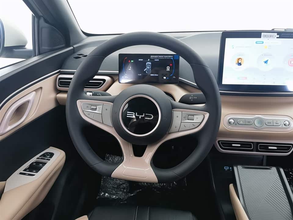 BYD Seagull