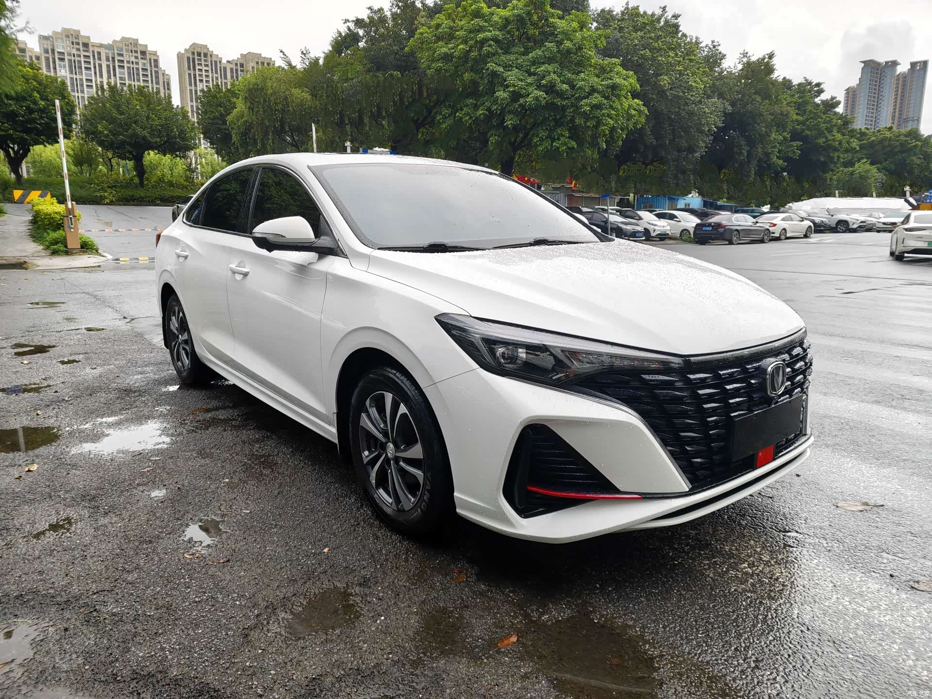 Changan Eado, 2022 3