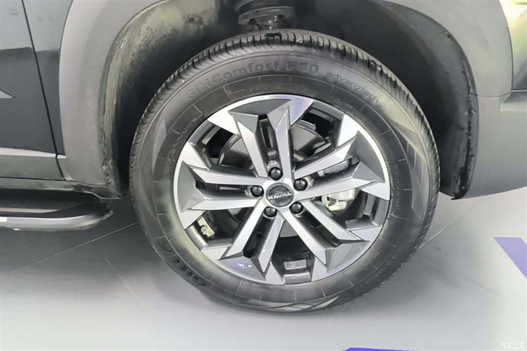 Haval Big Dog, 2024 6