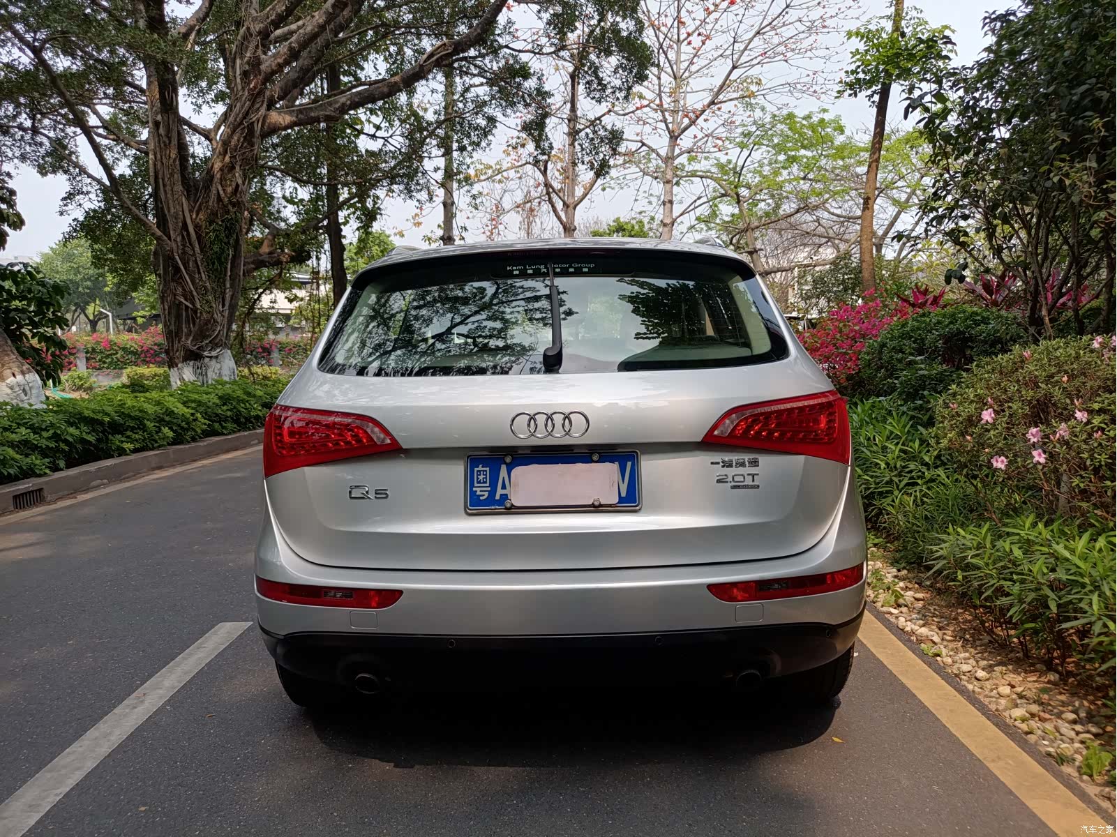 Audi Q5, 2010 все фото