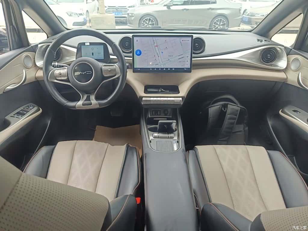 BYD Dolphin, 2023 10