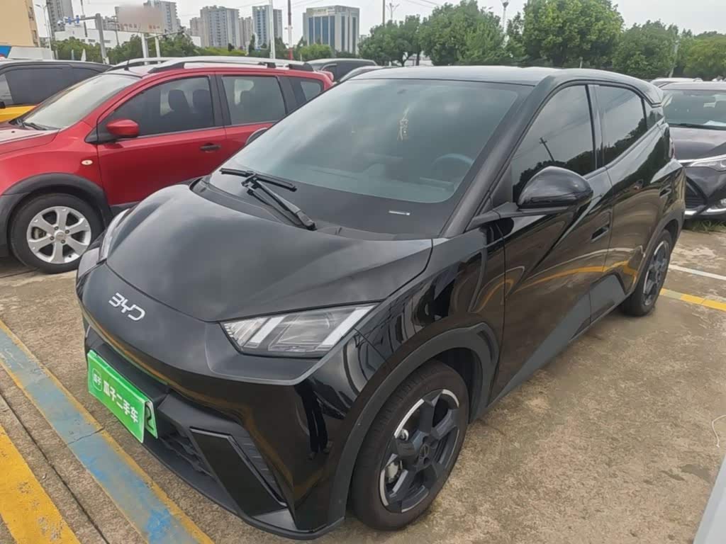 BYD Seagull
