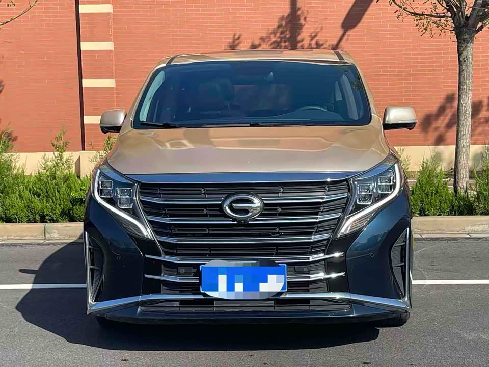 Trumpchi Trumpchi M8