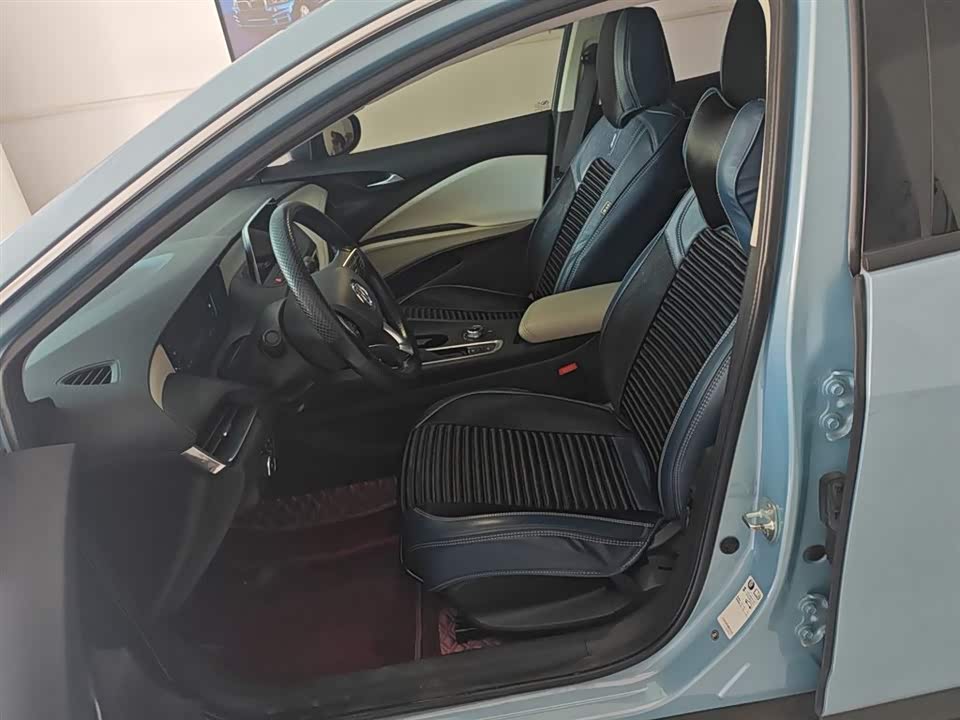 Buick Slightly blue 6