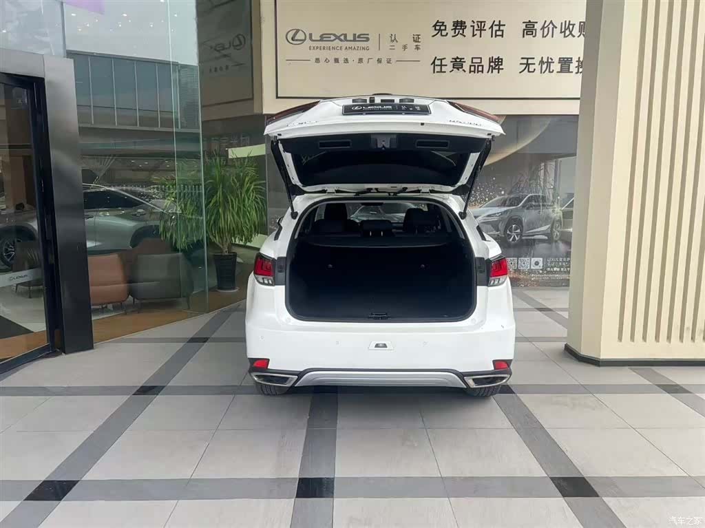 Lexus RX, 2021 4