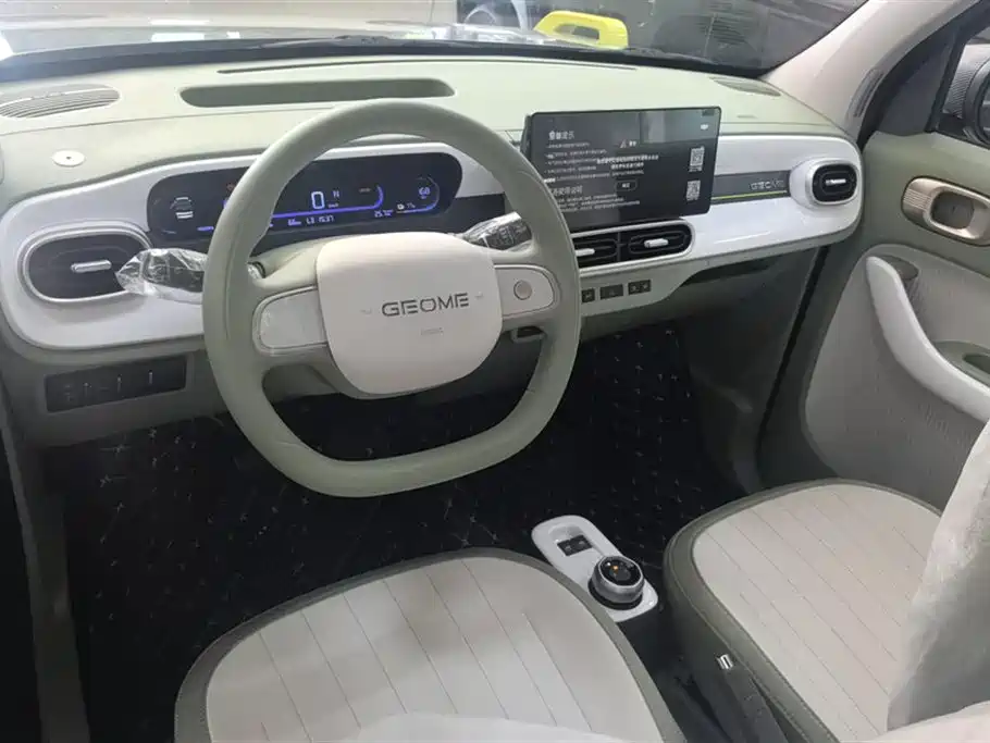 Geely Galaxy panda