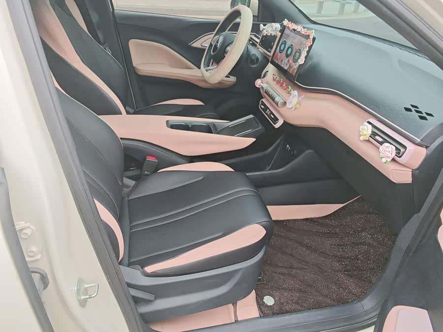 BYD Seagull 2024, фото 18