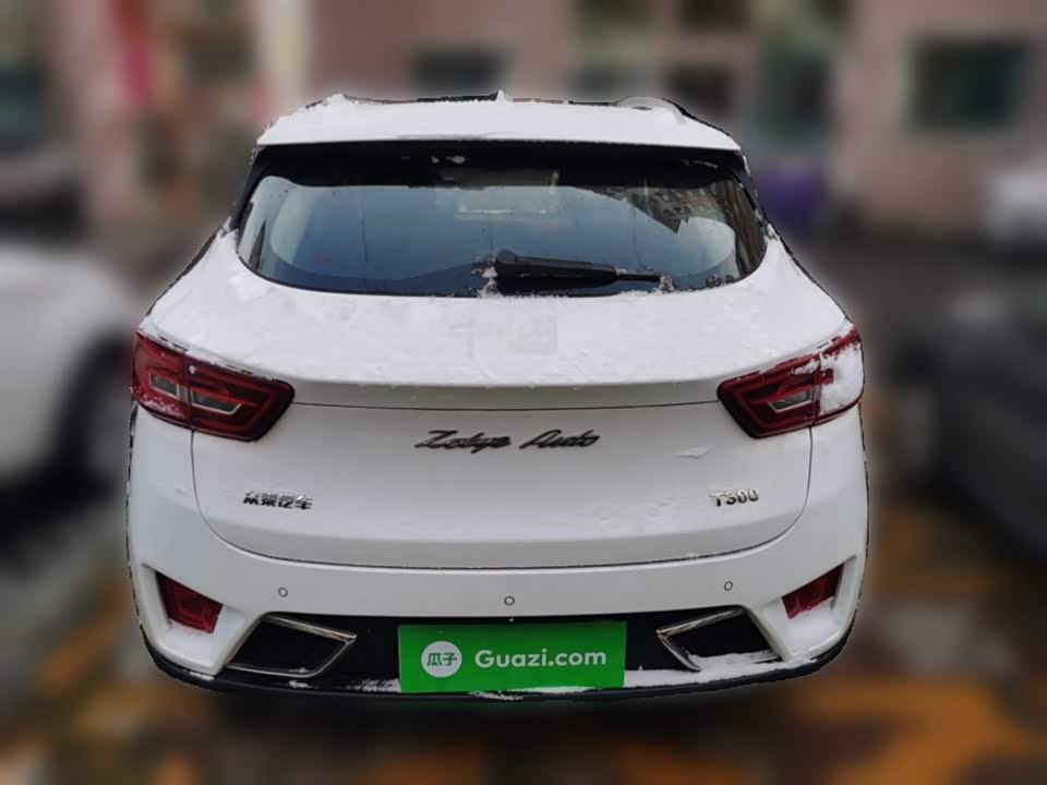Zotye T300