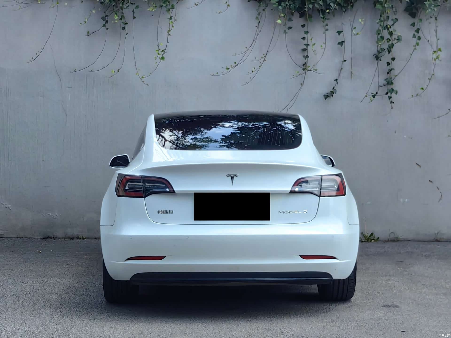 Tesla Model 3, 2020 8