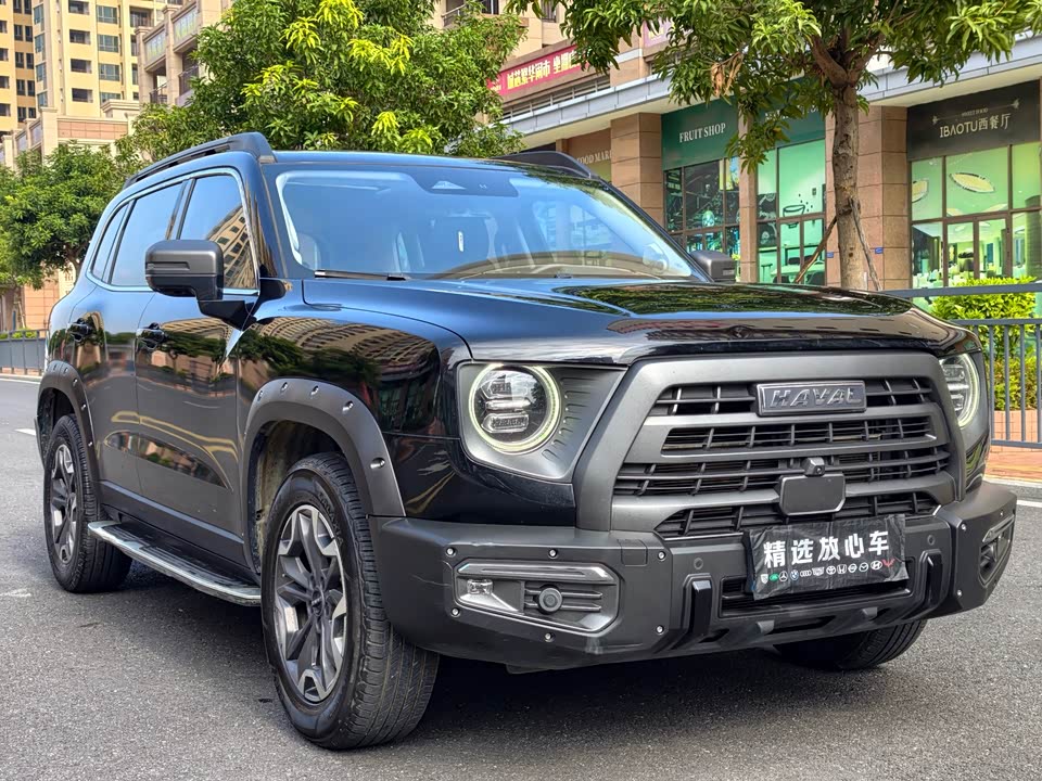 Haval Big dog