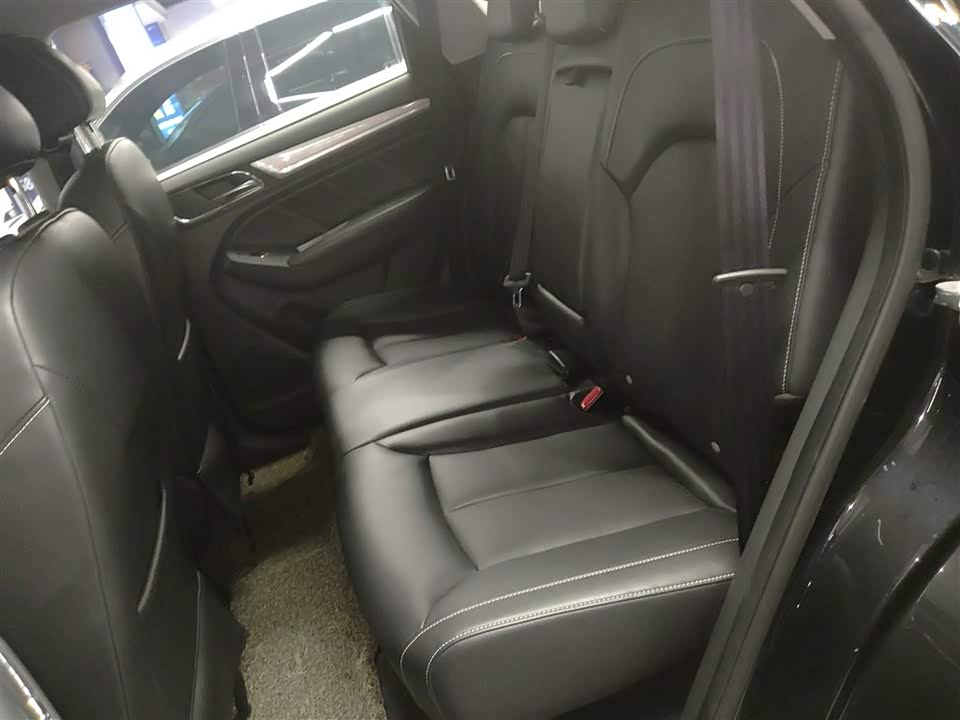 Roewe RX5 New energy