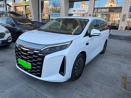 �������ֱ��ǵ� �� 2025�� DM-i 1.5T 180km ��Խ��