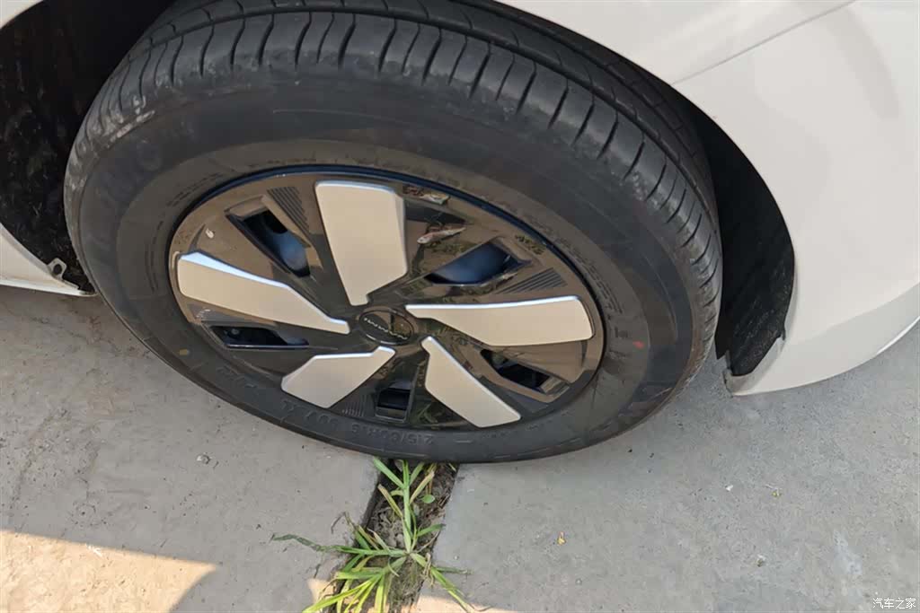 DongFeng 01, 2025 6