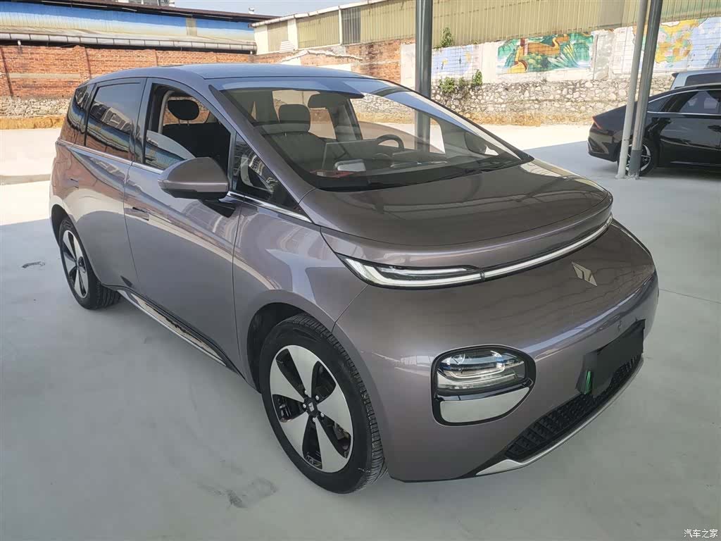Wuling 460, 2023 22