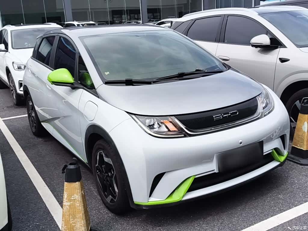 BYD Dolphin, 2022 4