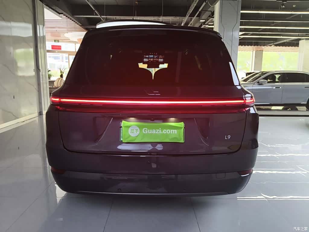 Li Auto L9, 2023 6
