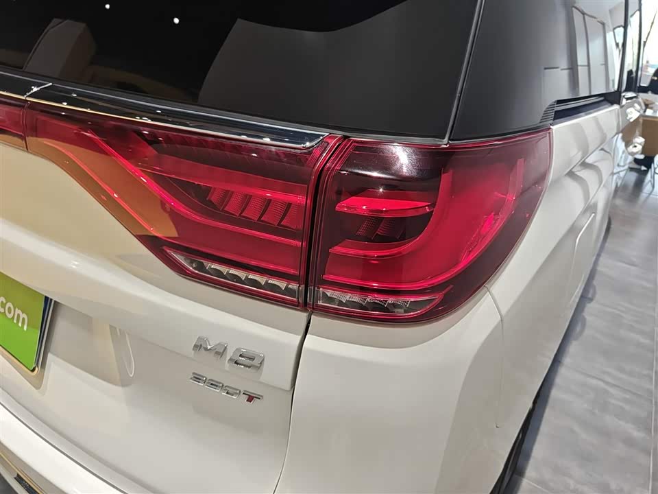 Trumpchi Trumpchi M8