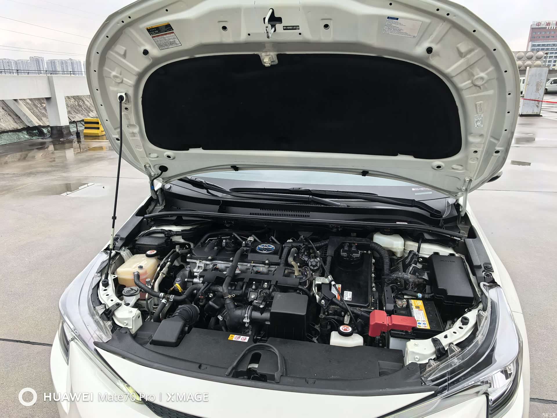Toyota Levin, 2020 17