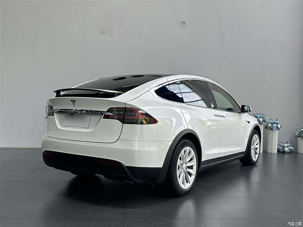 Tesla Model X, 2018 6