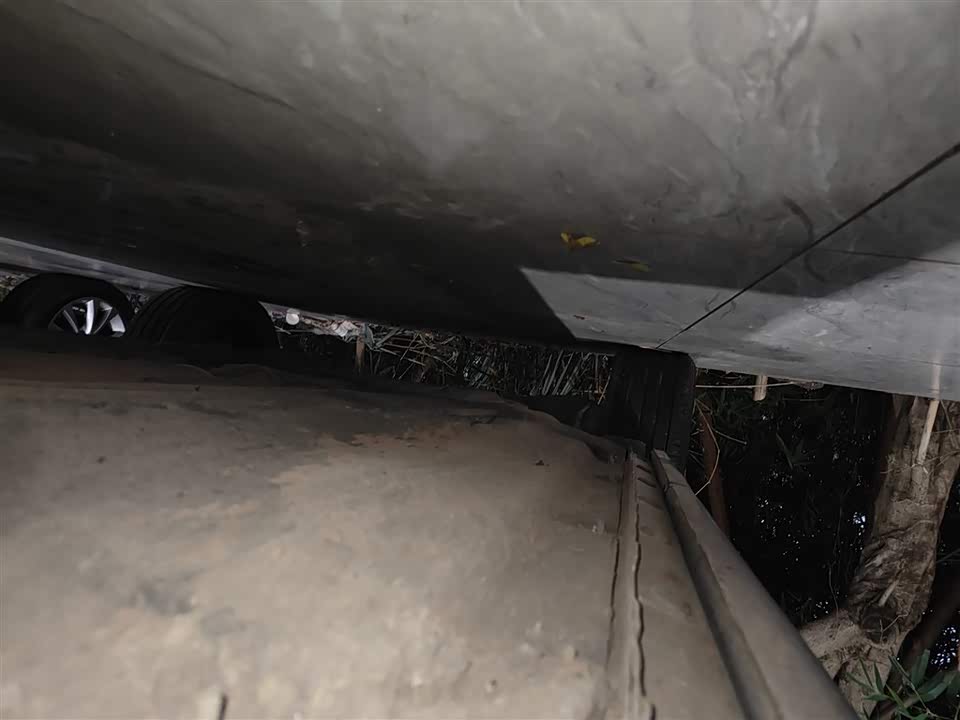 Forthing Popular T5 EVO