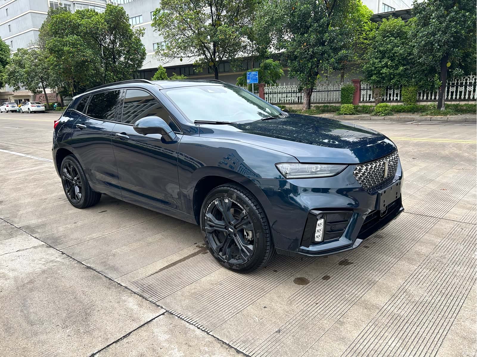 WEY VV7, 2019 3