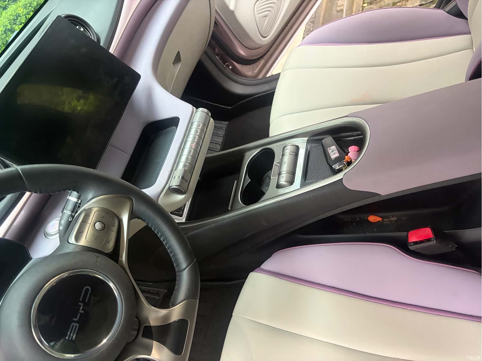 BYD Dolphin, 2021 14