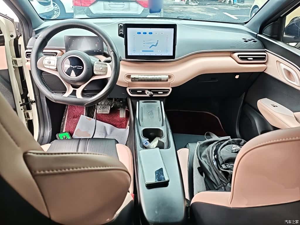 BYD Seagull, 2023 10