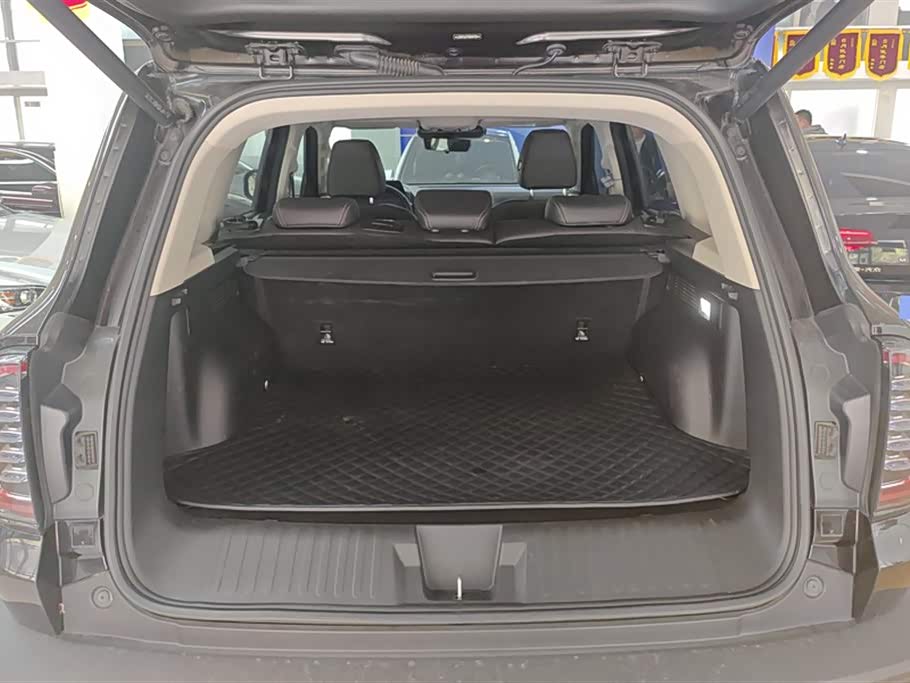 Haval Big dog