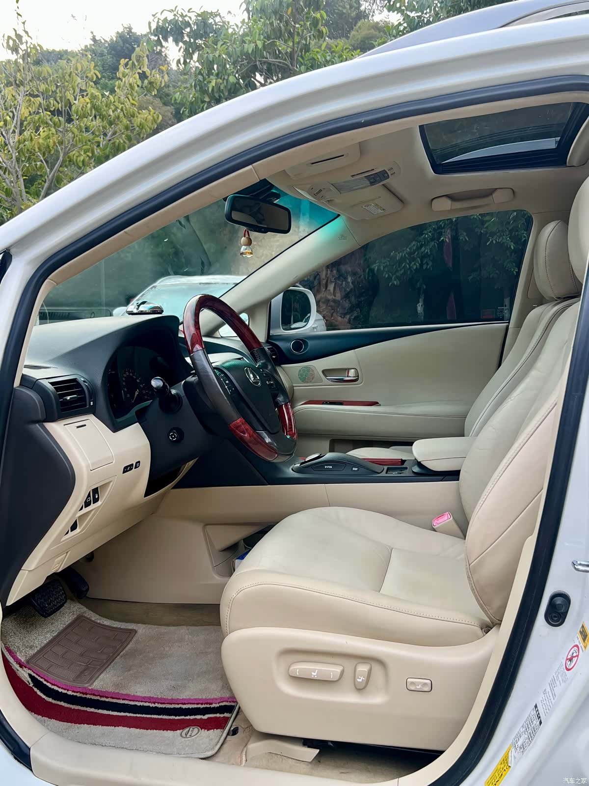 Lexus RX, 2010 7