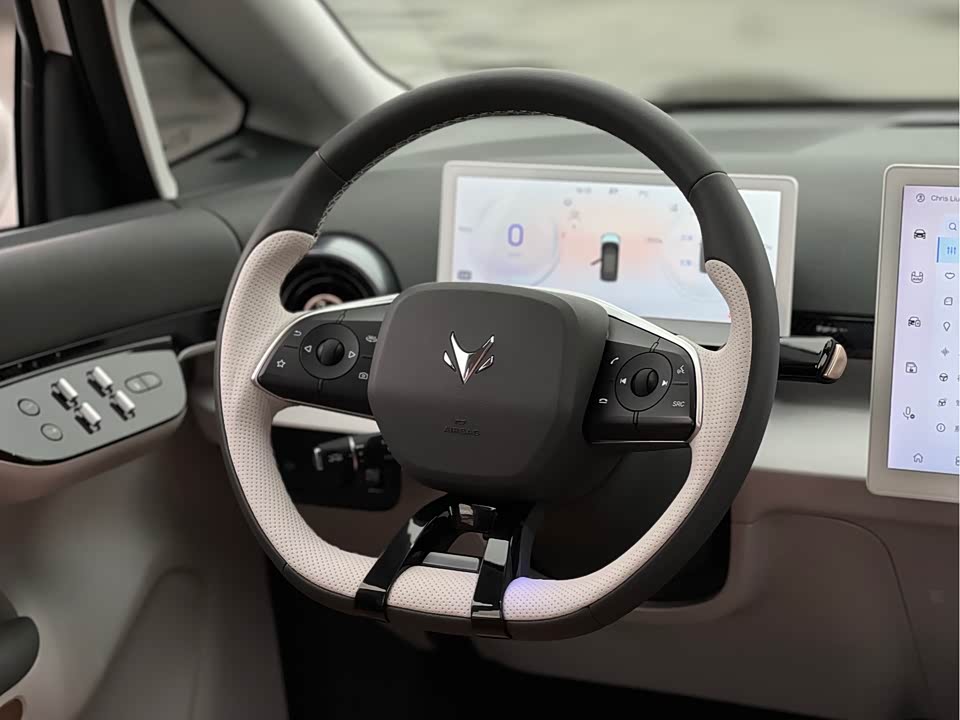 ARCFOX Polar fox koala