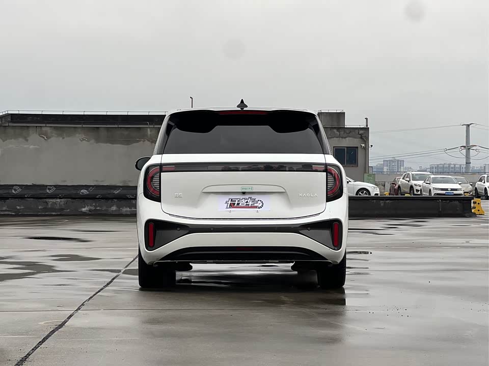 ARCFOX Polar fox koala