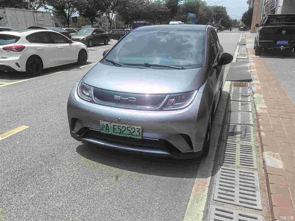 BYD Dolphin, 2023 1