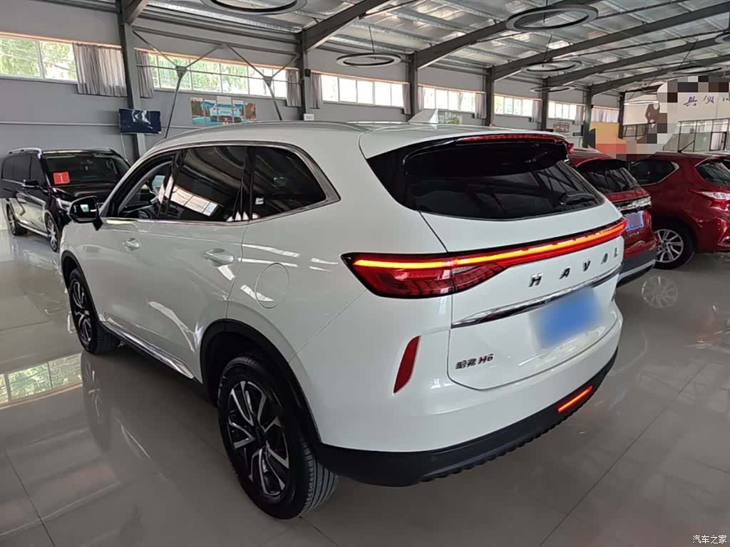 Haval H6, 2024 все фото