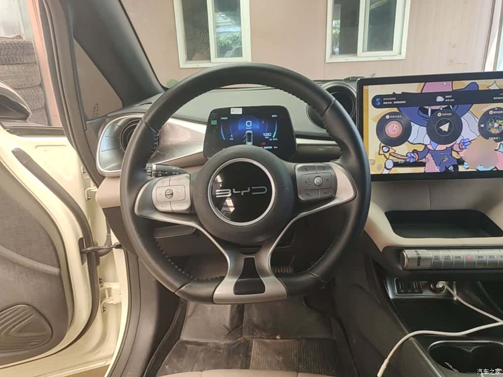BYD Dolphin, 2024 11