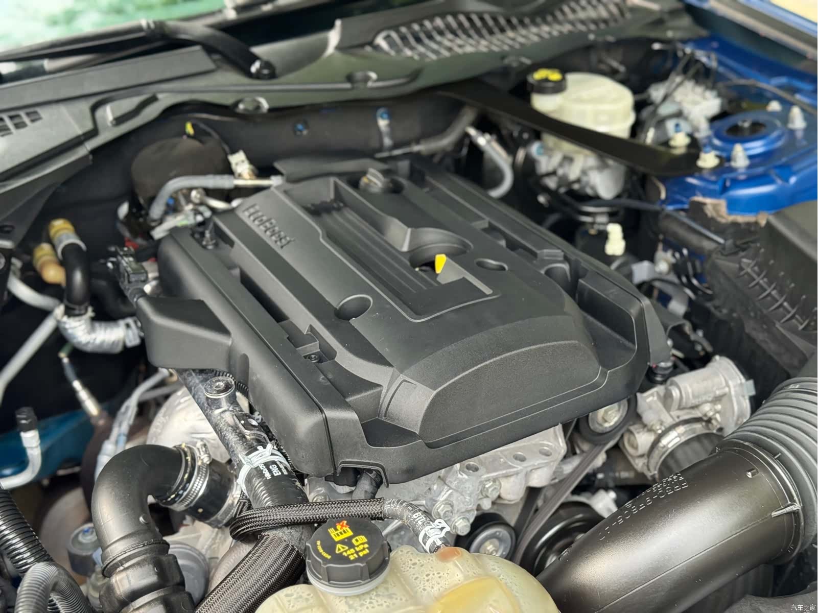 Ford Mustang, 2018 19