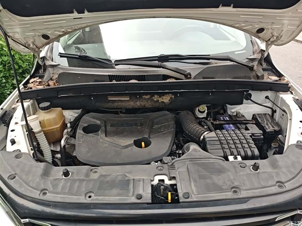 Bisu T5, 2017 20