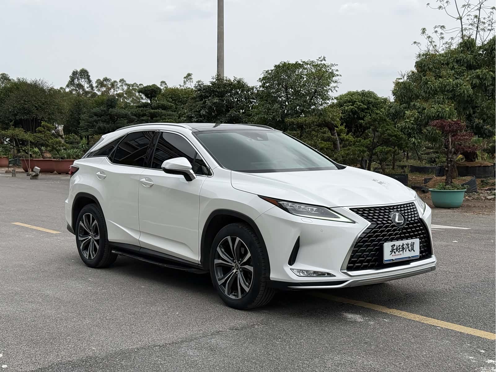 Lexus RX, 2020 18