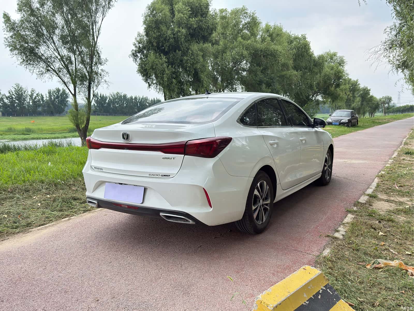 Changan Eado, 2024 8