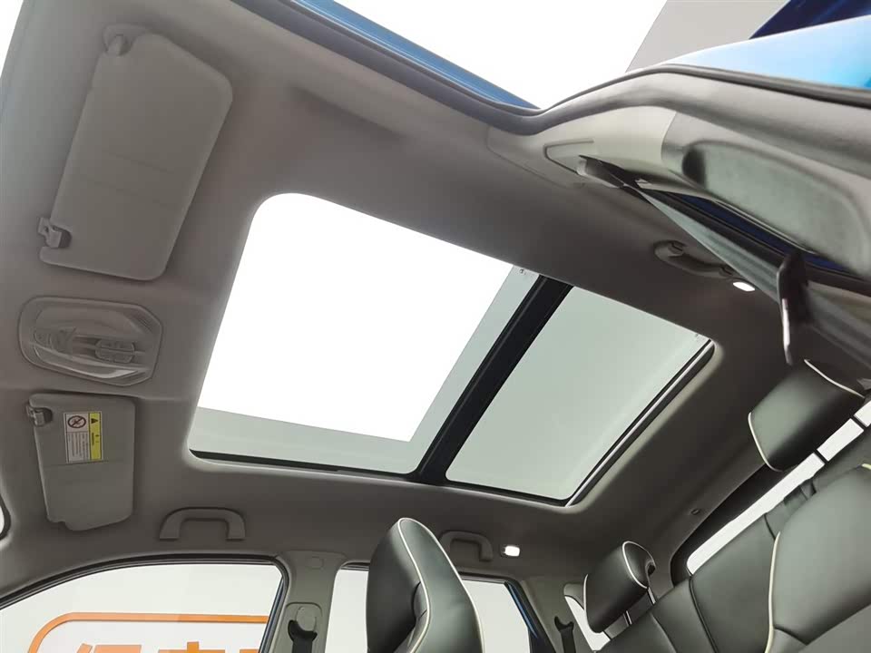 Leopaard Cheetah CS9