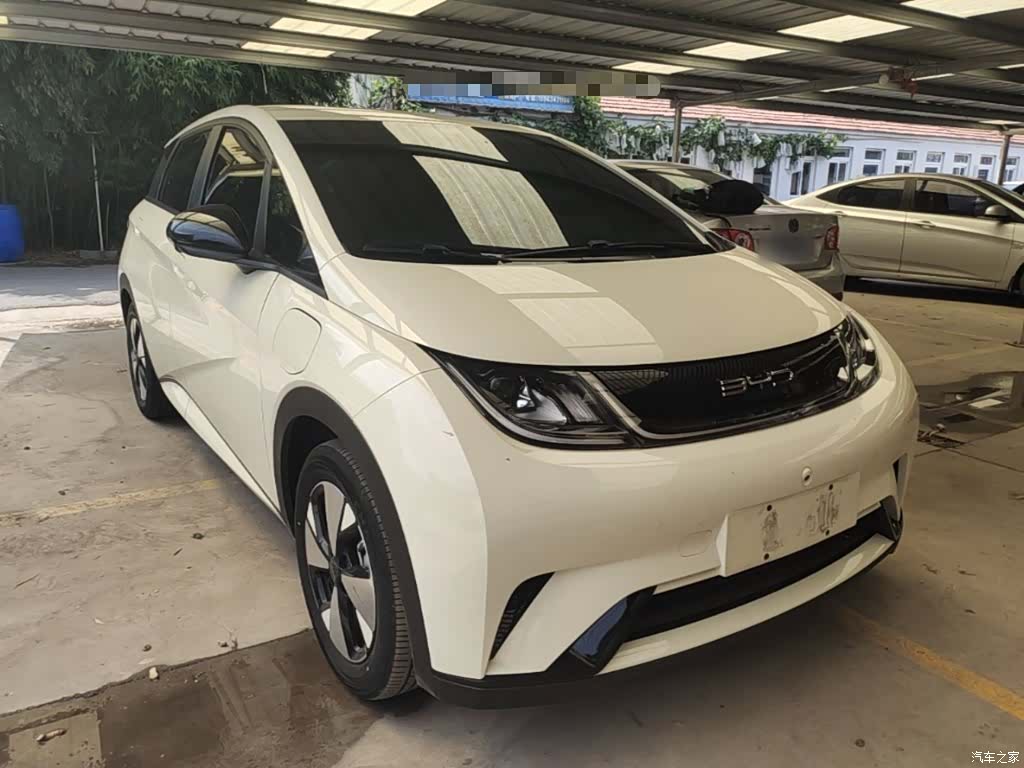 BYD Dolphin, 2024 4