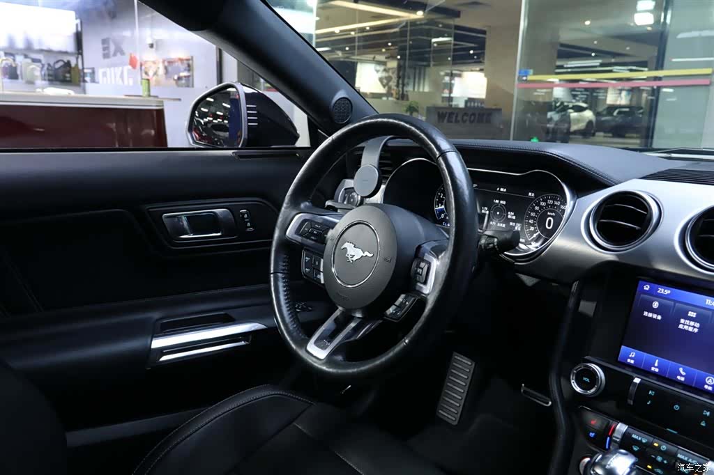 Ford Mustang, 2021 18
