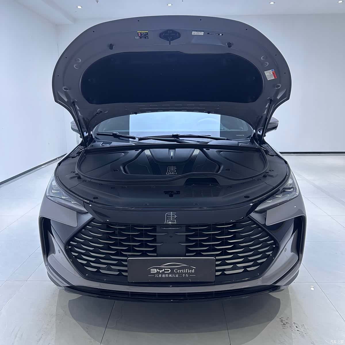 BYD Tang, 2025 9