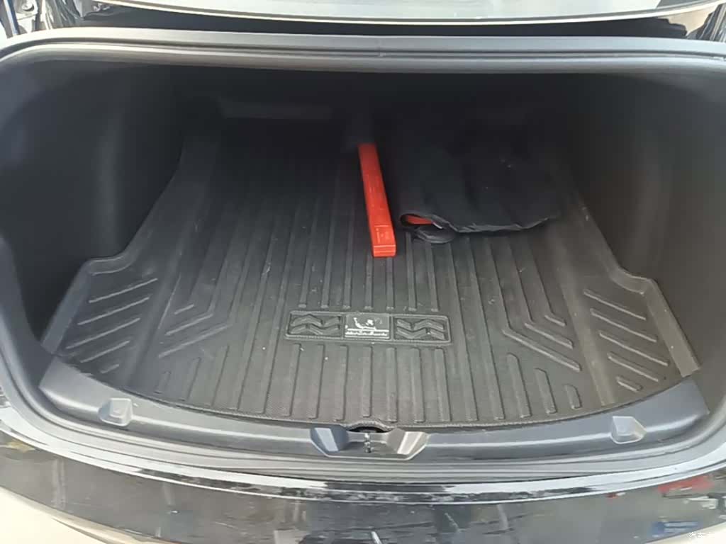 Tesla Model 3, 2020 19